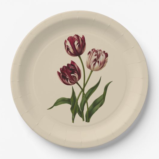 Vintage Tulips Pappteller (Vorderseite)