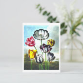 Vintage Tulips Postkarte (Stehend Vorderseite)