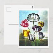 Vintage Tulips Postkarte (Vorne/Hinten)