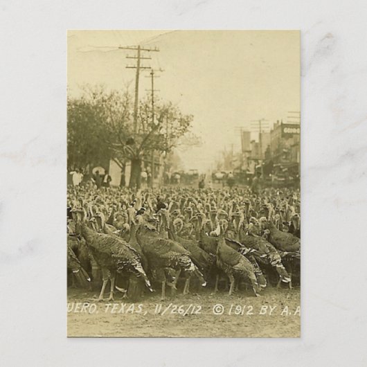 Vintage Türkei-Bauernfotografie Postkarte (Vorderseite)