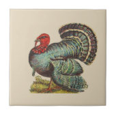 Vintage Türkei Fliese (Vorderseite)