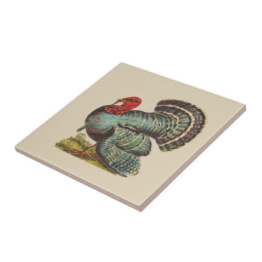 Vintage Türkei Fliese (Seite)