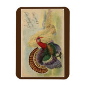 Vintage Türkei Magnet (Vertikal)