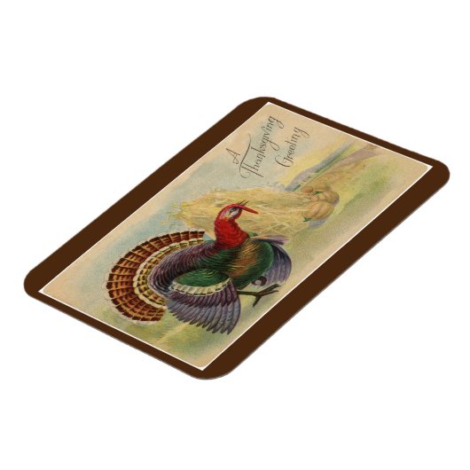 Vintage Türkei Magnet (Linke Seite)