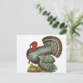 Vintage Türkei Postkarte (Stehend Vorderseite)