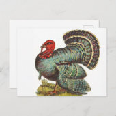 Vintage Türkei Postkarte (Vorne/Hinten)