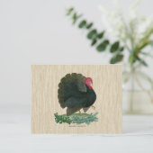 Vintage Türkei Postkarte (Stehend Vorderseite)