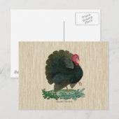 Vintage Türkei Postkarte (Vorne/Hinten)