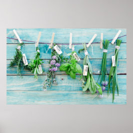 Vintage türkisfarbene Mauer mit Kräutern Poster
