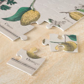 Vintage Übersicht über die botanische Bildung der Puzzle (Seite)