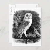 Vintage Uhillustrierung Postkarte (Vorne/Hinten)