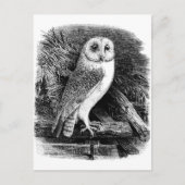 Vintage Uhillustrierung Postkarte (Vorderseite)