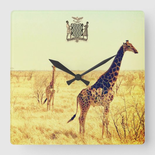 Vintage Uhr an der Mauer auf dem Sambia-Platz (Vorderseite)