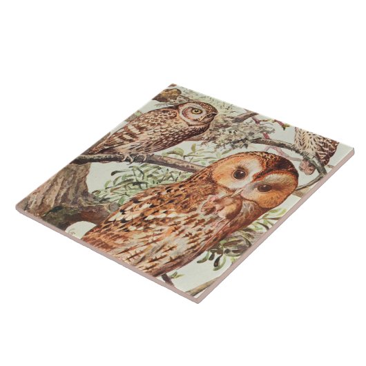 Vintage Uhtierdekor Keramik Fliese (Seite)