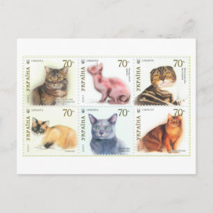 Vintage Ukraine Katzen Briefmarken Set Postkarte