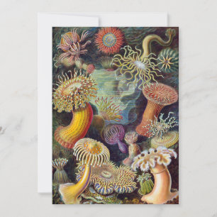 Vintage Unterwasser Seeanemonen von Ernst Haeckel Einladung