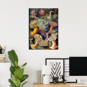 Vintage Unterwasser Seeanemonen von Ernst Haeckel Poster