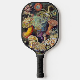 Vintage Unterwasser-Seerosen von Ernst Haeckel Pickleball Schläger