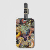 Vintage Unterwasserseelemone von Ernst Haeckel Gepäckanhänger (Vorderseite Vertikal)