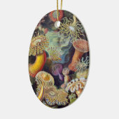 Vintage Unterwasserseelemone von Ernst Haeckel Keramikornament (Links)