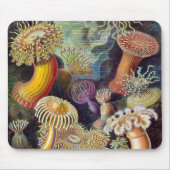 Vintage Unterwasserseelemone von Ernst Haeckel Mousepad (Vorne)