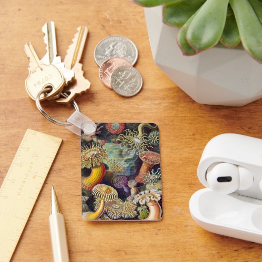 Vintage Unterwasserseelemone von Ernst Haeckel Schlüsselanhänger (Schreibtisch)