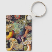 Vintage Unterwasserseelemone von Ernst Haeckel Schlüsselanhänger (Rückseite)