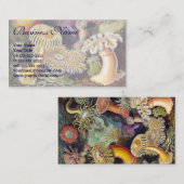 Vintage Unterwasserseelemone von Ernst Haeckel Visitenkarte (Vorne/Hinten)