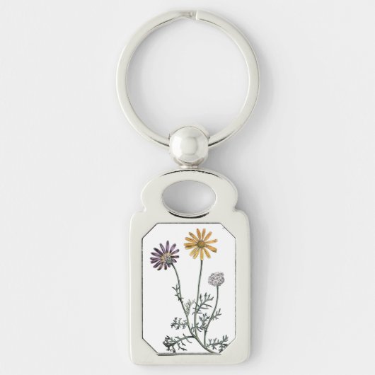 Vintage Ursinia Anthemoides Solar Fire Botanisches Schlüsselanhänger (Vorderseite)