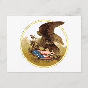 Vintage US-amerikanische Adler-Postkarte Postkarte