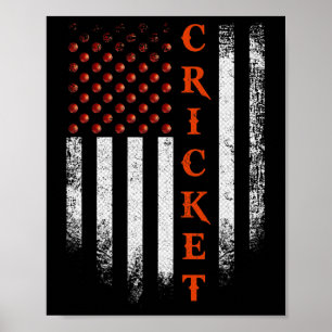 Vintage US-amerikanische Flagge Cricket-Spieler Pa Poster