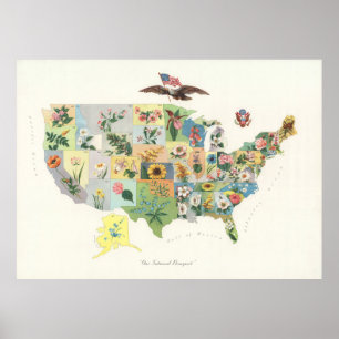 Vintage US-Staats-Blume Map (1911) Poster