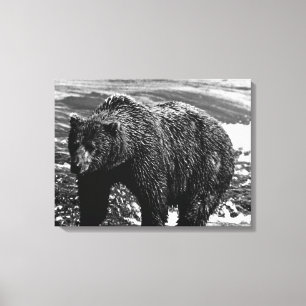 Vintage USA Alaska Braunbär Leinwanddruck