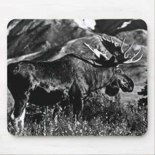Vintage USA Alaska Bull-Elch Case-Mate Samsung Ga Mousepad