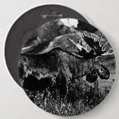 Vintage USA Alaska-Bulle Button (Vorne & Hinten)