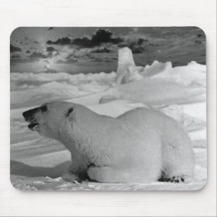 Vintage USA Alaska Eisbär Case-Mate iPhone Hülle Mousepad