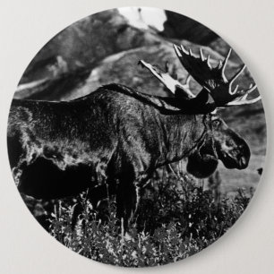 Vintage USA Alaska-Elchbulle Button