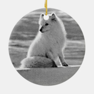 Vintage USA Alaska Polarfuchs 1970 Keramikornament
