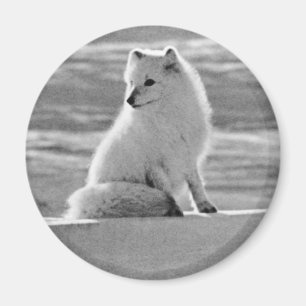 Vintage USA Alaska Polarfuchs Magnet