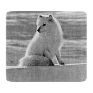 Vintage USA Alaska Polarfuchs Schneidebrett