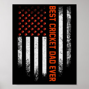 Vintage-USA-Amerikanische-Flagge-Bester-Cricket-Va Poster