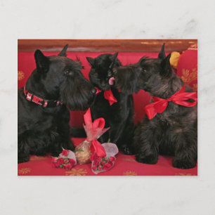 Vintage: Valentine's Day - Feiertagspostkarte