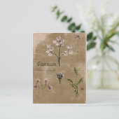 Vintage Valerian Herb Pflanze Postkarte (Stehend Vorderseite)