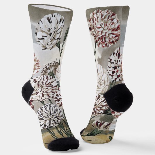Vintage Variegated Carnation Flowers with Grey Sky Socken (Gewinkelt)