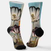 Vintage Variegated Tulip Flowers in a Landscape Socken (Gewinkelt)