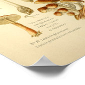 Vintage Varieté Braun Pilze Kunst Französisch druc Poster (Ecke)