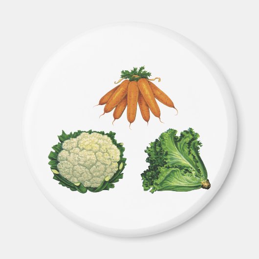 Vintage Vegetables; Carrots, Cauliflower, Lettuce Magnet (Vorne)