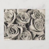 Vintage Velvet-Beauty Postkarte (Vorderseite)