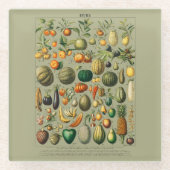 Vintage Veranschaulichung Obst und Gemüse Glasuntersetzer (Vorderseite)