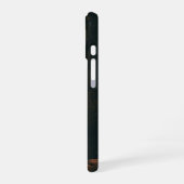Vintage versteckter Wasserfall im Tal iPhone 16 Hülle (Linke Seite)